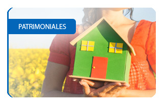Patrimoniales